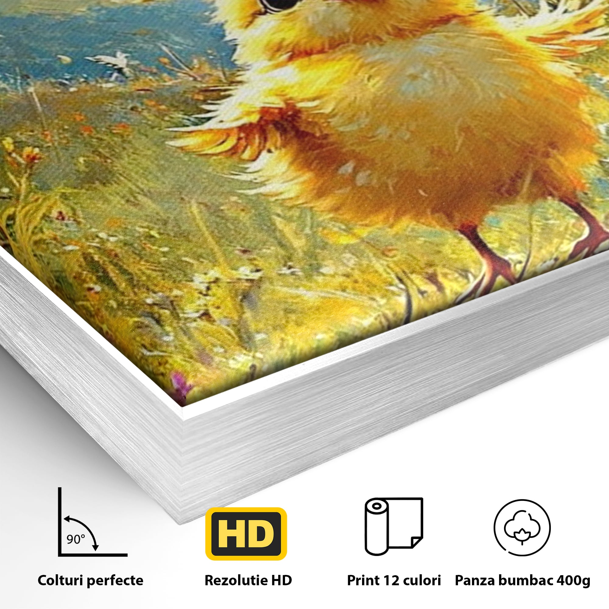 Detaliu al suprafetei: tablou canvas cu pui de pasare si fluture, in rama de aluminiu argintiu